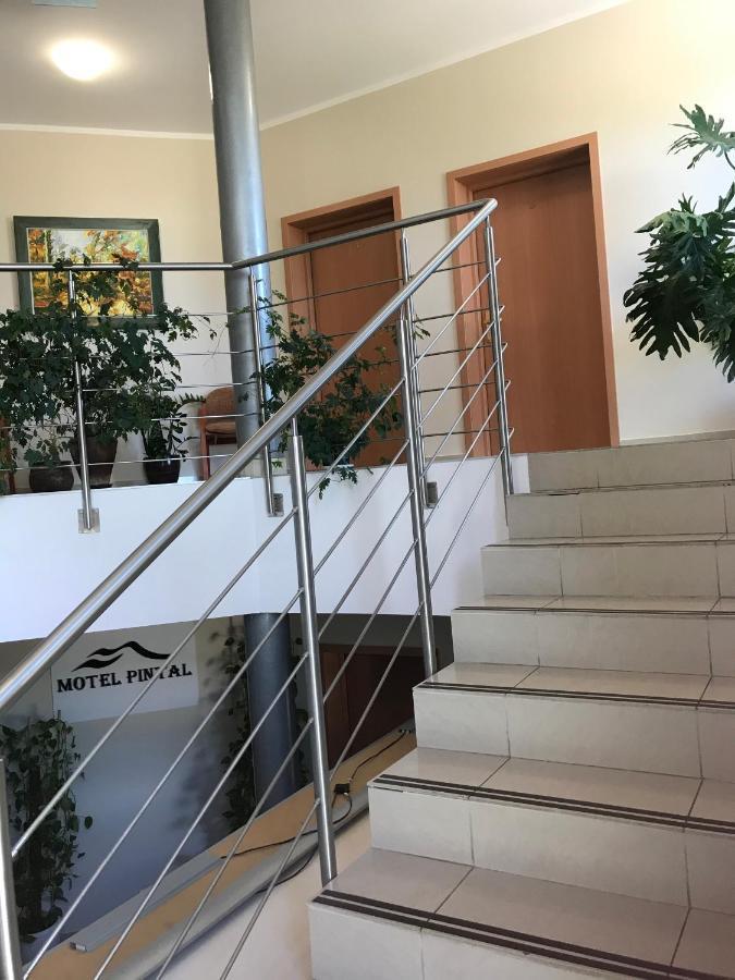 Motel Pintal Ґожув-Велькопольський Екстер'єр фото
